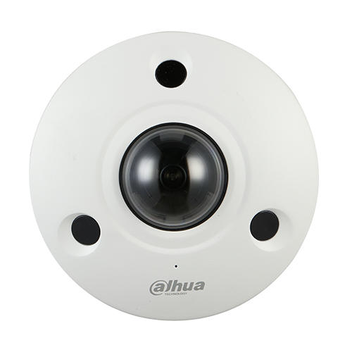DH-IPC-EBW81242
